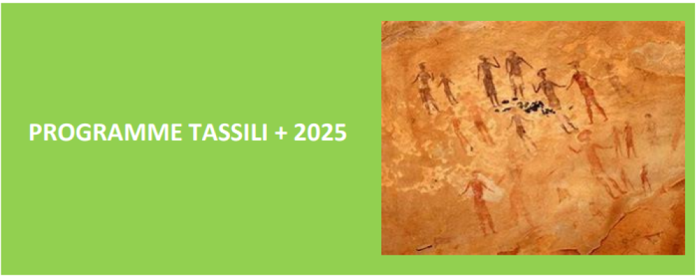 Lancement de l'Appel à projets PHC Tassili+2025